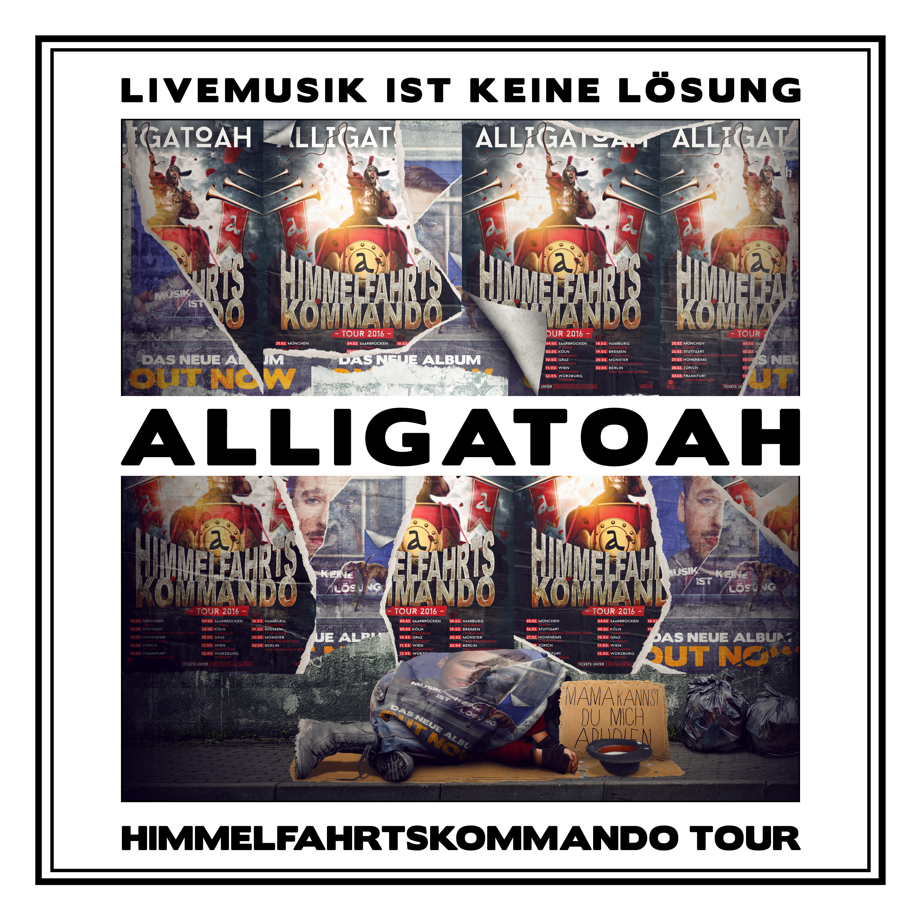 + Alligatoah Tour - Ist Himmelfahrtskommando Alligatoah (CD Video) Keine Livemusik - Lösung (Ltd. - (3CD+DVD+T-Shirt) Fanbox) - DVD