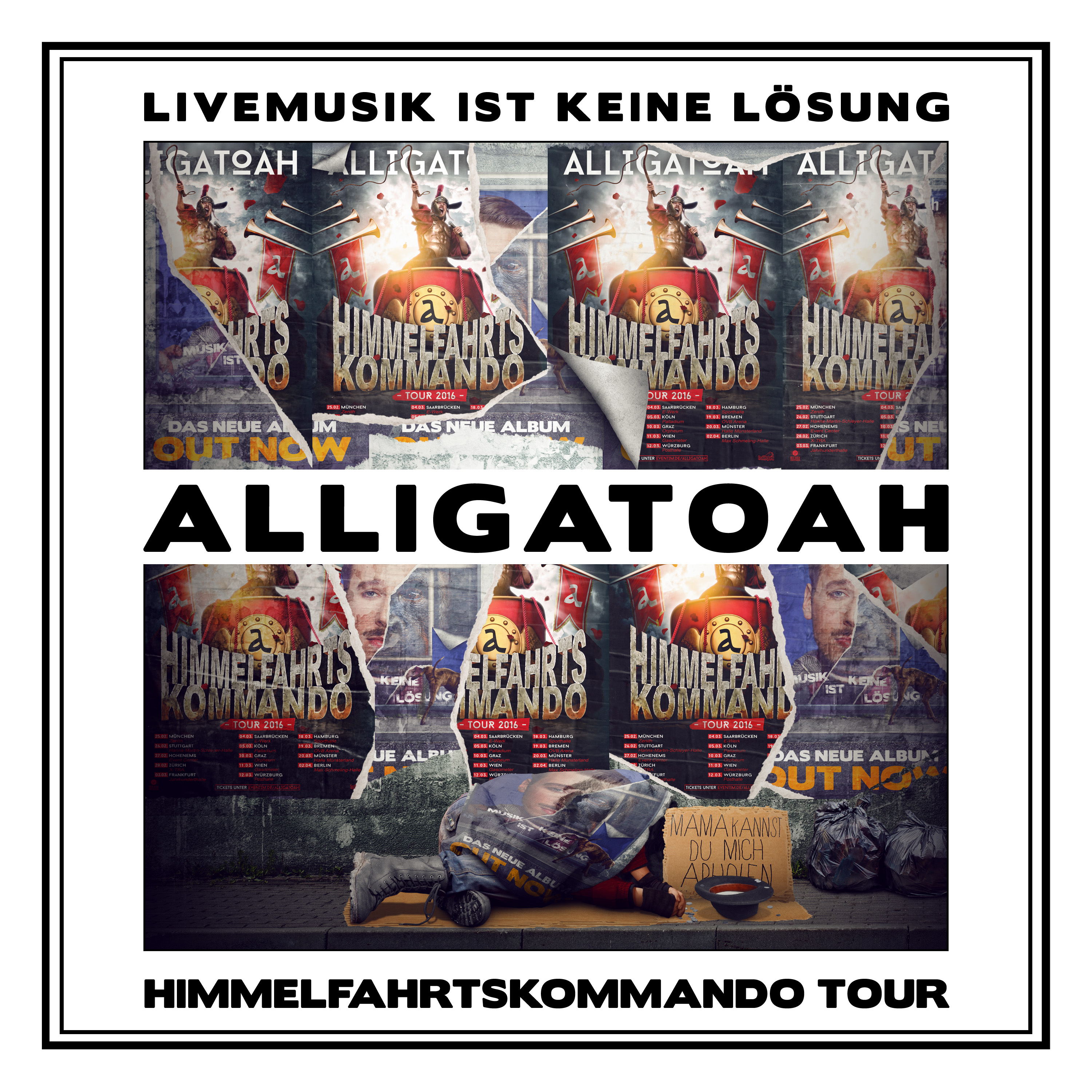 + Alligatoah Tour - Ist Himmelfahrtskommando Alligatoah (CD Video) Keine Livemusik - Lösung (Ltd. - (3CD+DVD+T-Shirt) Fanbox) - DVD