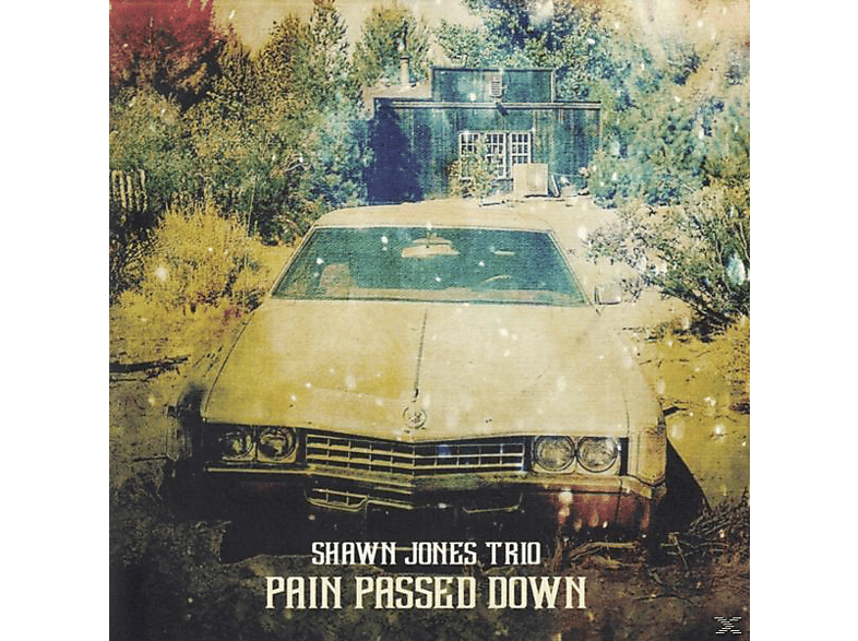 Shawn Jones Trio - Pain Passed Down - (CD)