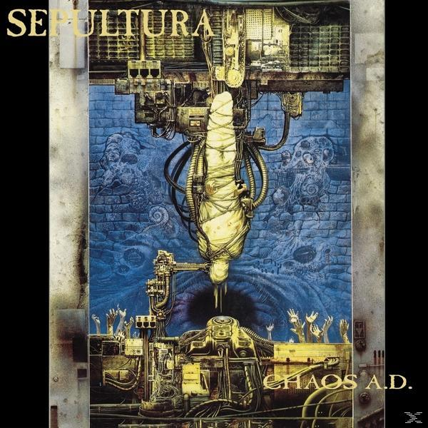 Sepultura - Chaos A.D. - (Vinyl)