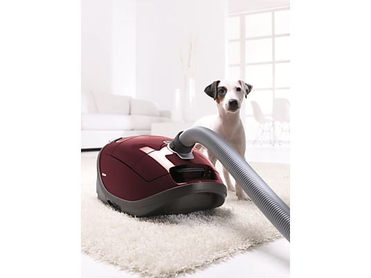 MIELE Complete C3 Cat&Dog Rood