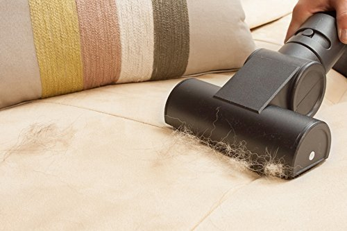 Ein Staubsauger reinigt eine beige Couch, auf der Tierhaare zu sehen sind.