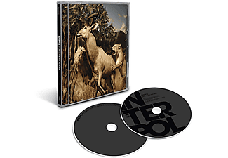 Interpol - Our Love To Admire (DVD + CD)