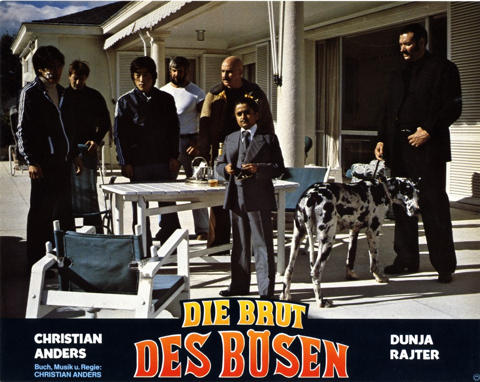 Gruppe von Leuten draußen, ein Hund im Vordergrund und ein Filmtitel auf Deutsch.