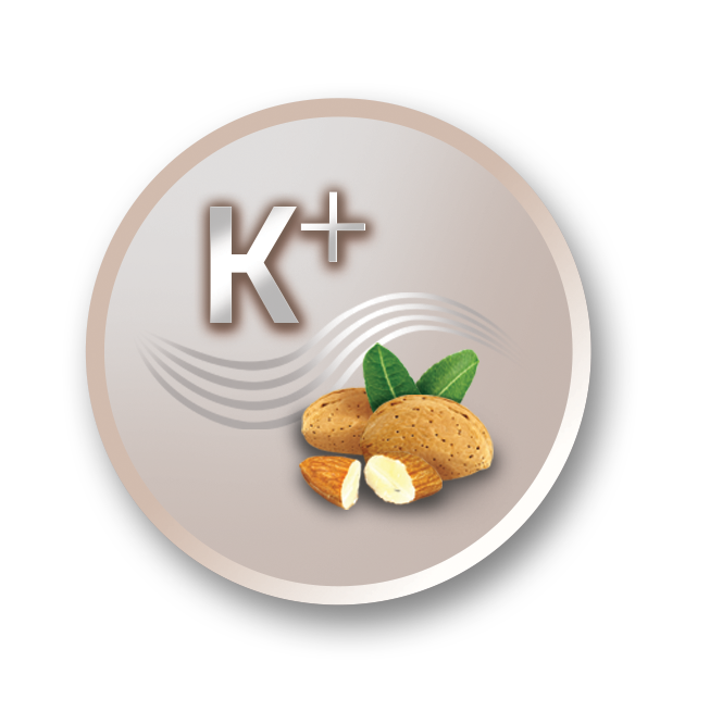 Icon with almonds and potassium symbol (K+). Beige background, black border.