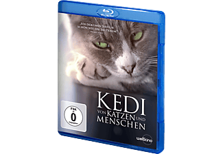Kedi - Von Katzen und Menschen Blu-ray