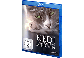 Kedi Katzen Und Menschen