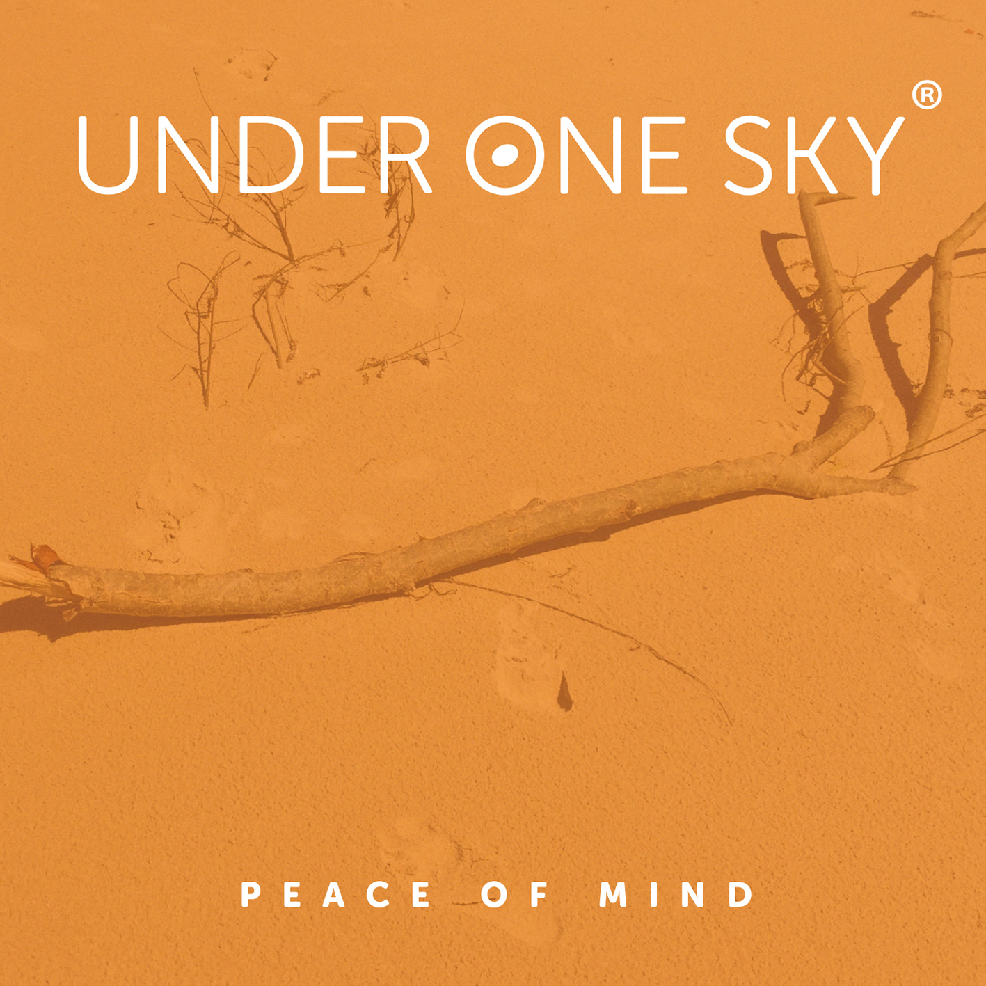 Under One Sky - Peace of Mind  - (CD)