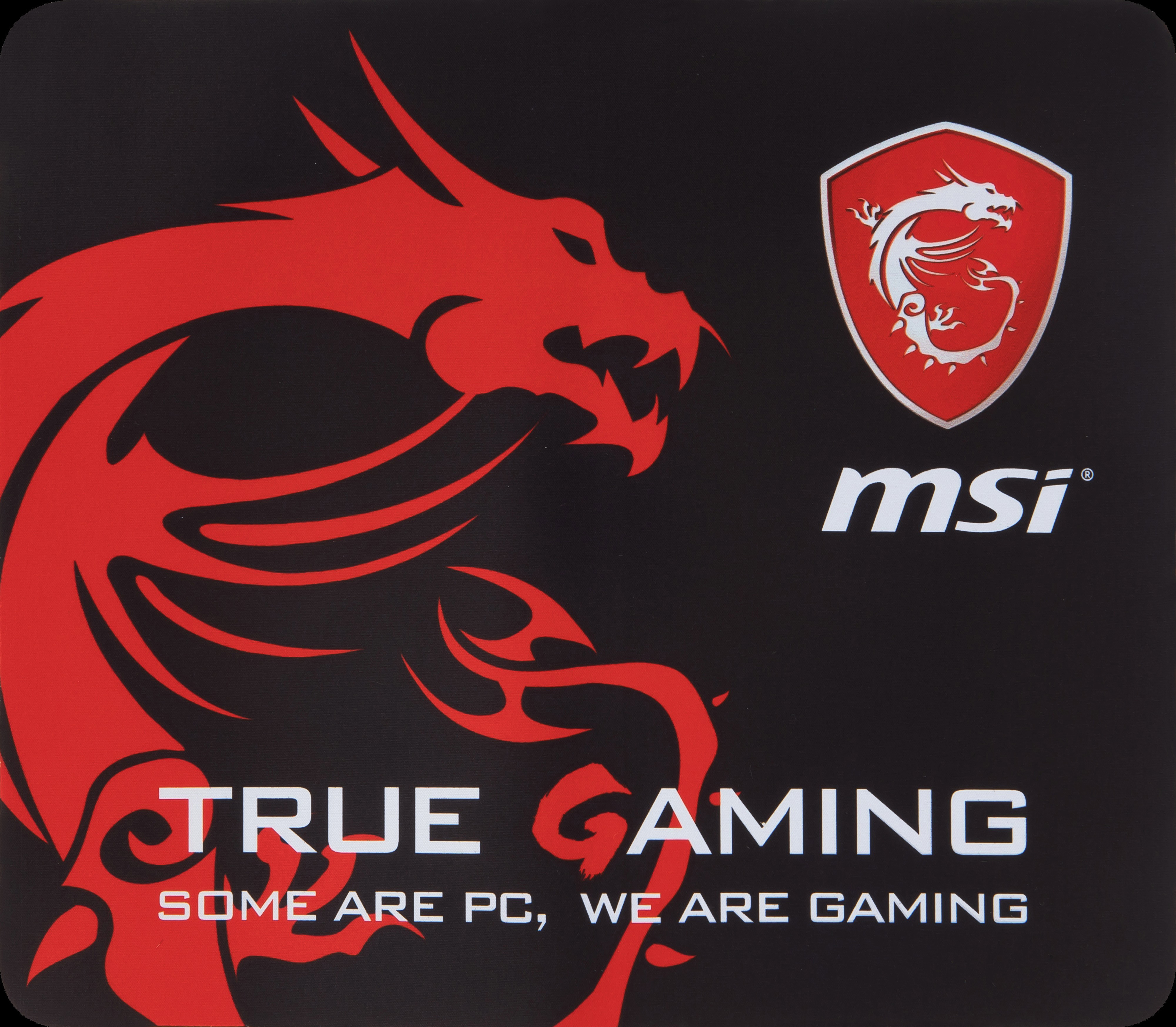 MSI Dragon Fever GS-Bundle Notebooktasche