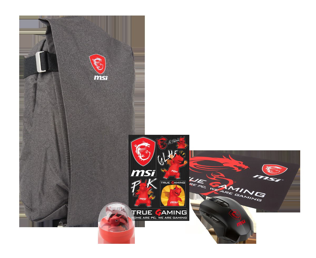 MSI Dragon Fever GS-Bundle Notebooktasche
