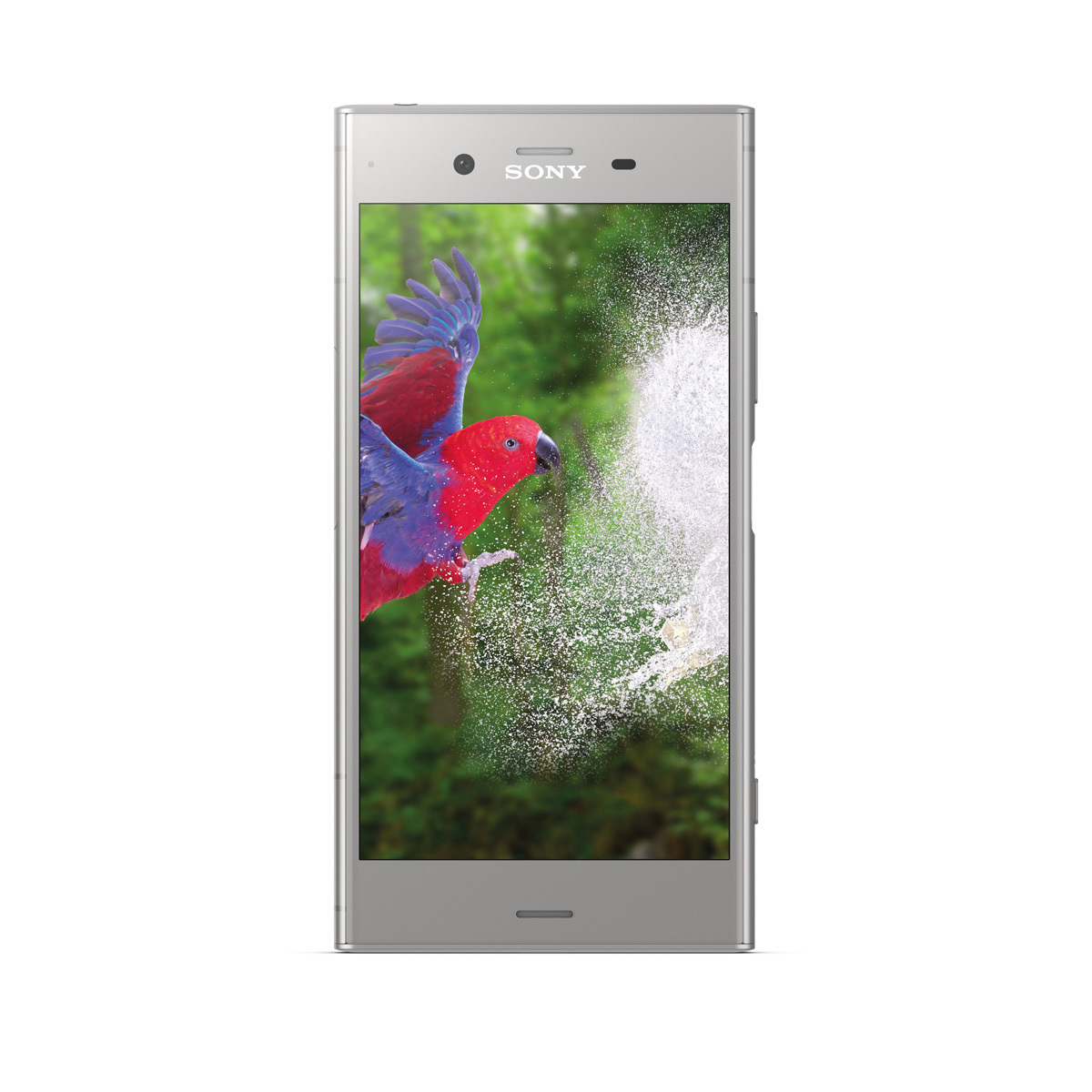 Silbernes Sony-Smartphone mit einem bunten Papageienbild auf dem Bildschirm.