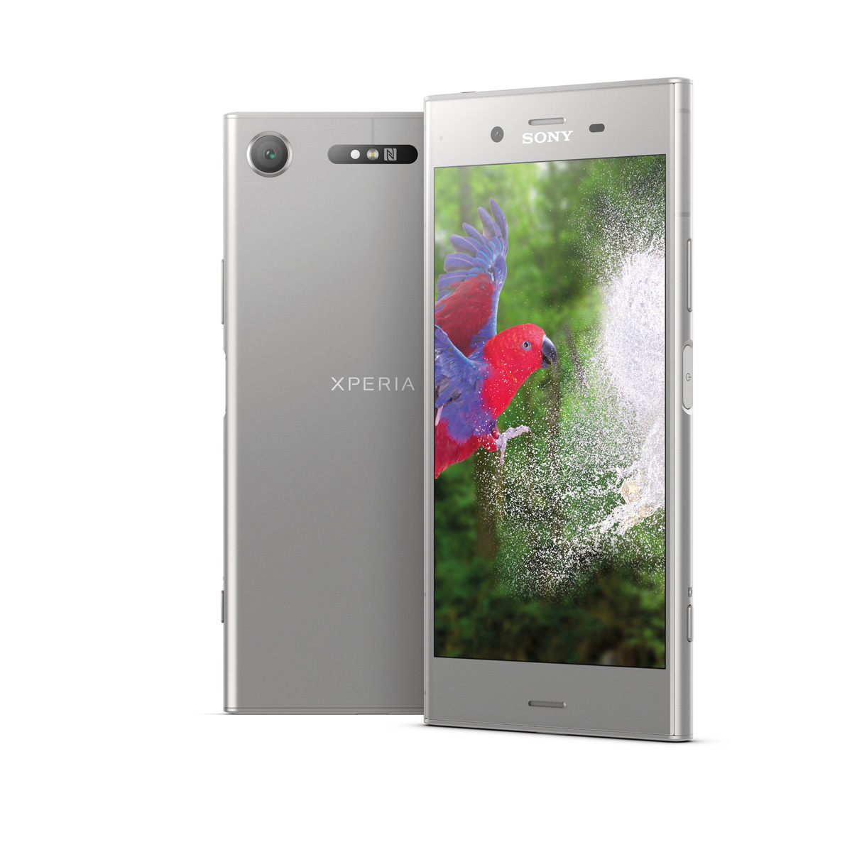 Silbernes Smartphone mit Papageienbild und dem Wort Xperia auf der Rückseite.