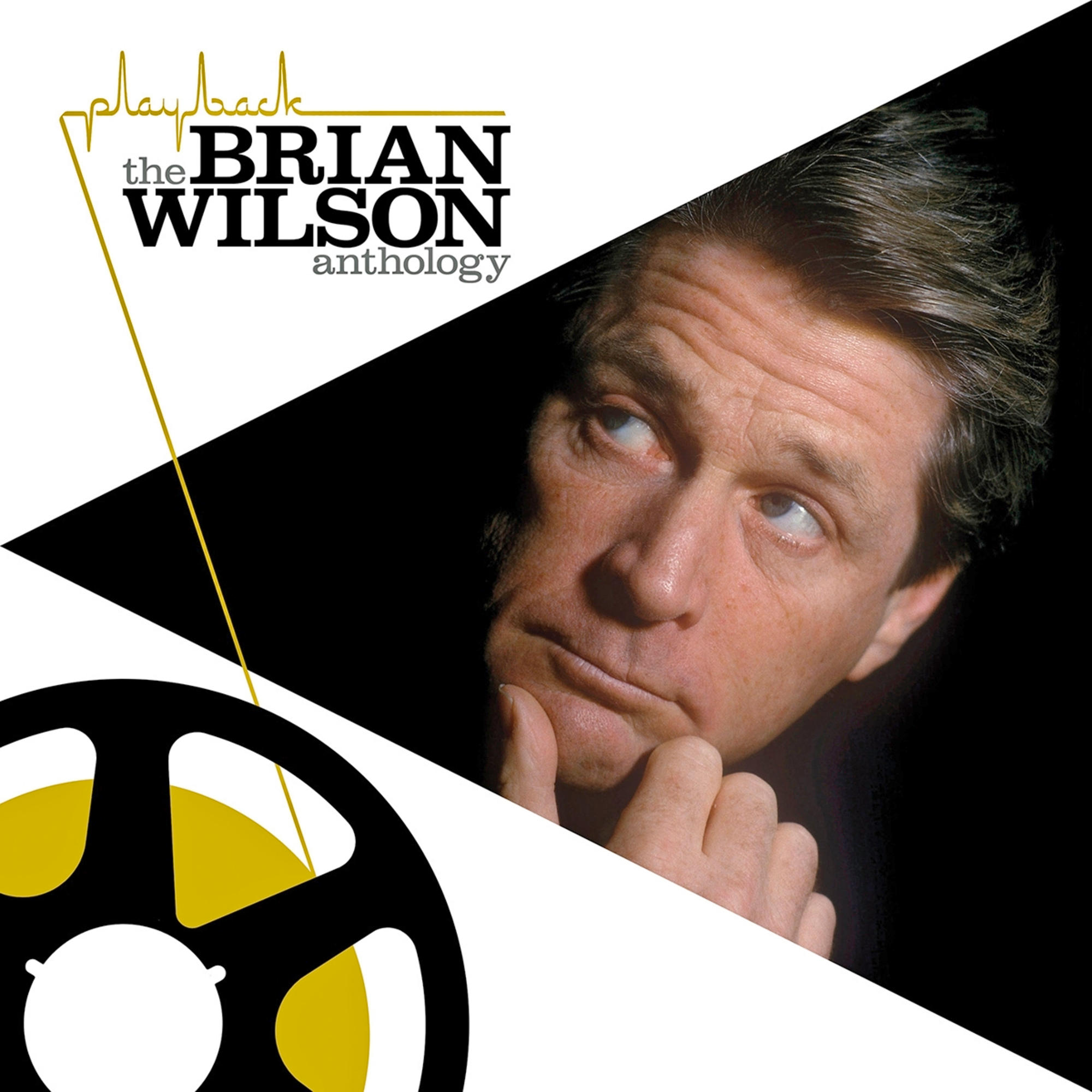 De albumhoes van The Brian Wilson Anthology, met zijn gezicht en een vinylspoel.