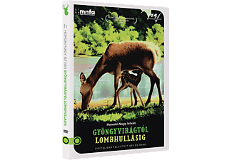 Gyöngyvirágtól lombhullásig (DVD)