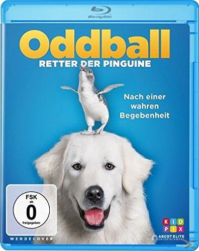 DVD Oddball Der - Retter Pinguine