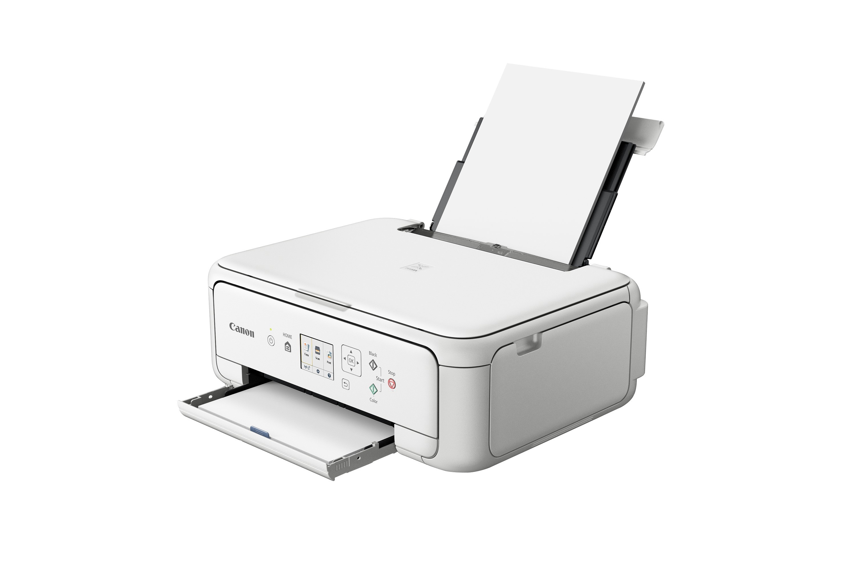 CANON PIXMA TS5151 2 FINE Druckköpfe mit Tinte (Schwarz und Farbe) 3-in-1 Tinten-Multifunktionsdrucker (Farbe) WLAN