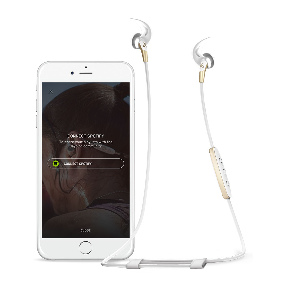 JAYBIRD Freedom 2 Goud