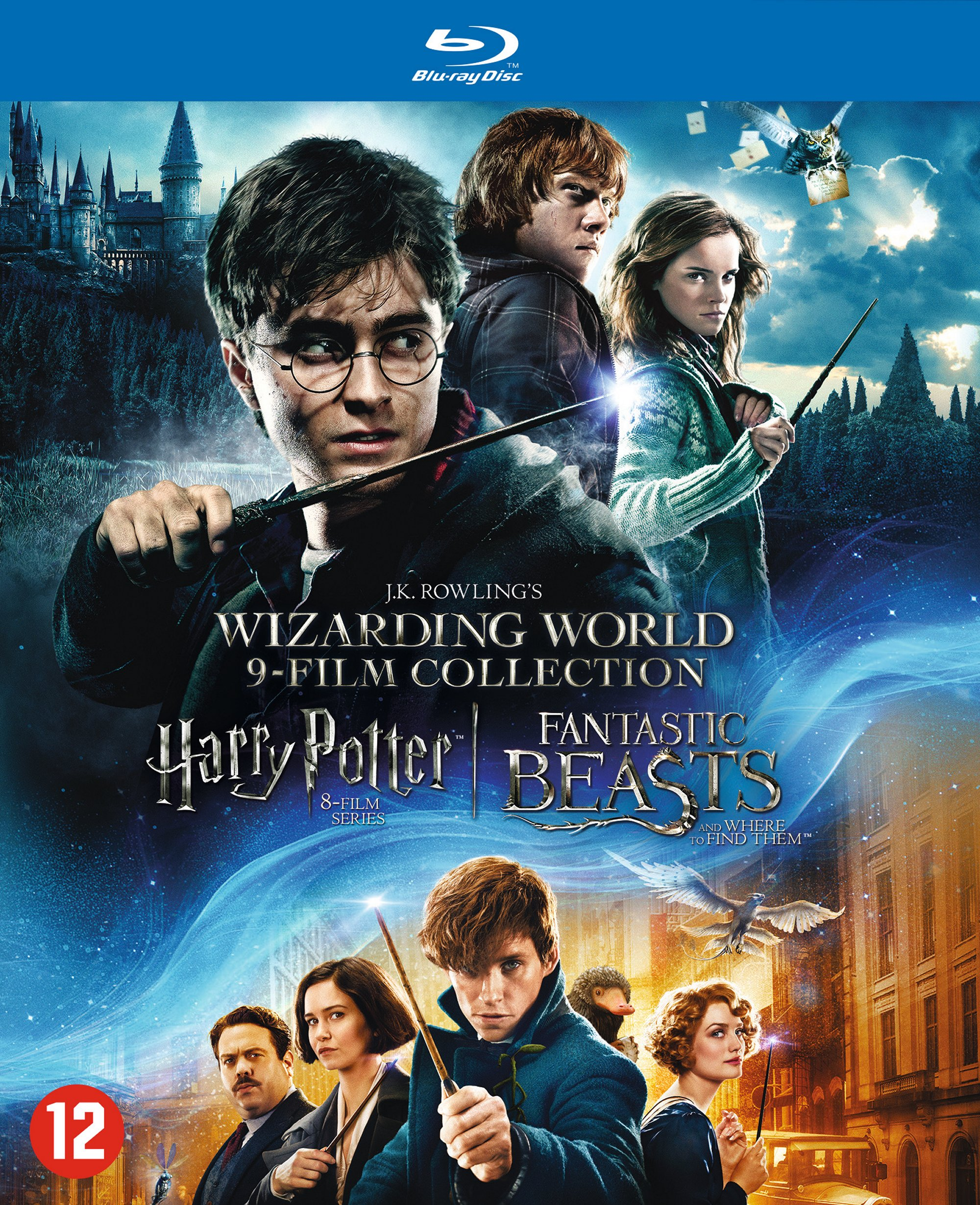 DVD-hoes: Harry Potter en cast, filmtitel en diverse personages met toverstokken in een fantasieomgeving.