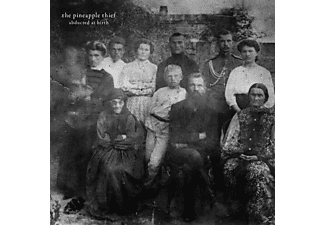 The Pineapple Thief - Abducted At Birth  - (CD)