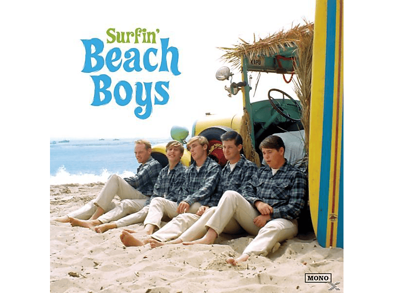 Boys альбомы. Виниловые пластинки Beach boys. Beach boys обложка. The Beach boys альбомы. The Beach boys арт.