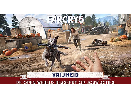 Far Cry 5 | PlayStation 4