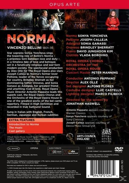 Die Rückseite einer DVD-Hülle mit Text über Norma, eine klassische Opernaufführung.
