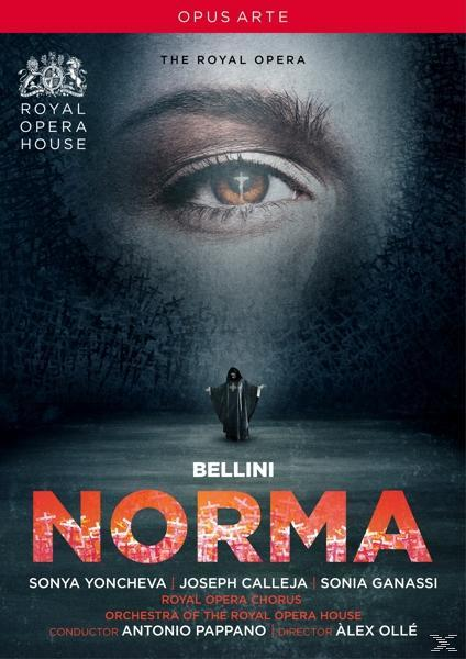 Ein Filmplakat, ein Frauenauge im Hintergrund, eine Figur vorne, mit dem Titel.