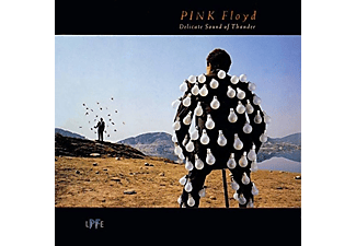 Pink Floyd - Delicate Sound of Thunder (Remastered Edition) (Vinyl LP (nagylemez))