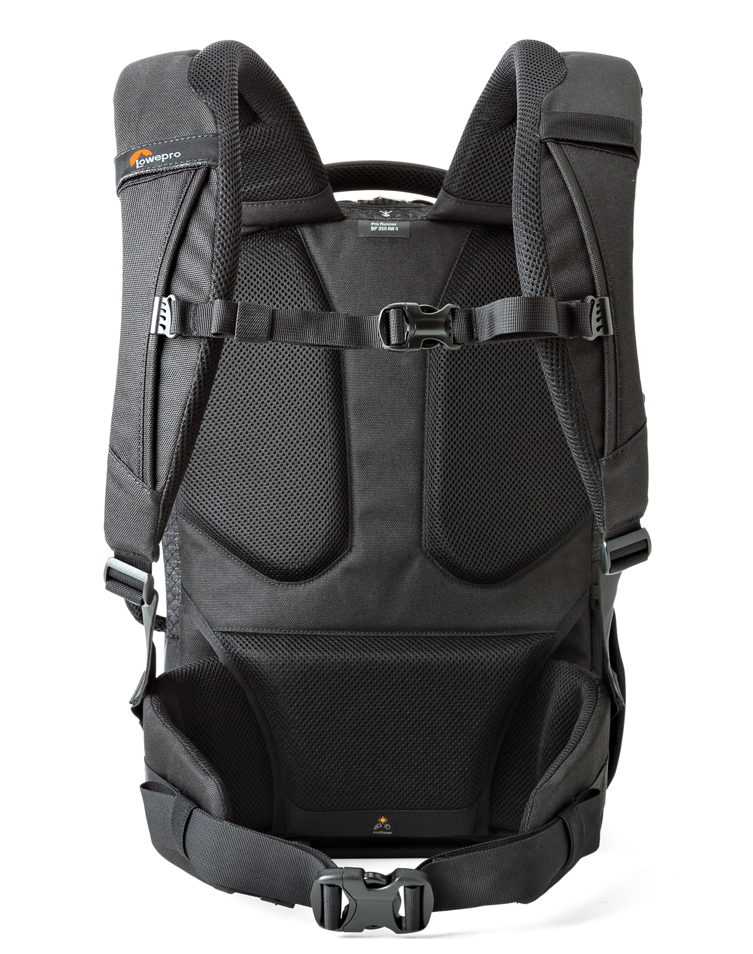 Back view of a black Lowepro camera backpack. It has padded straps, mesh back support, and multiple buckles and straps.