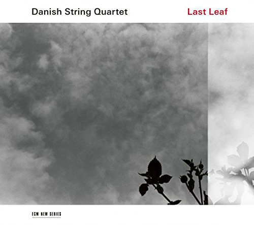 Egy festmény albumborítója. Zöld és kék tájkép, Strauss Lieder címmel.