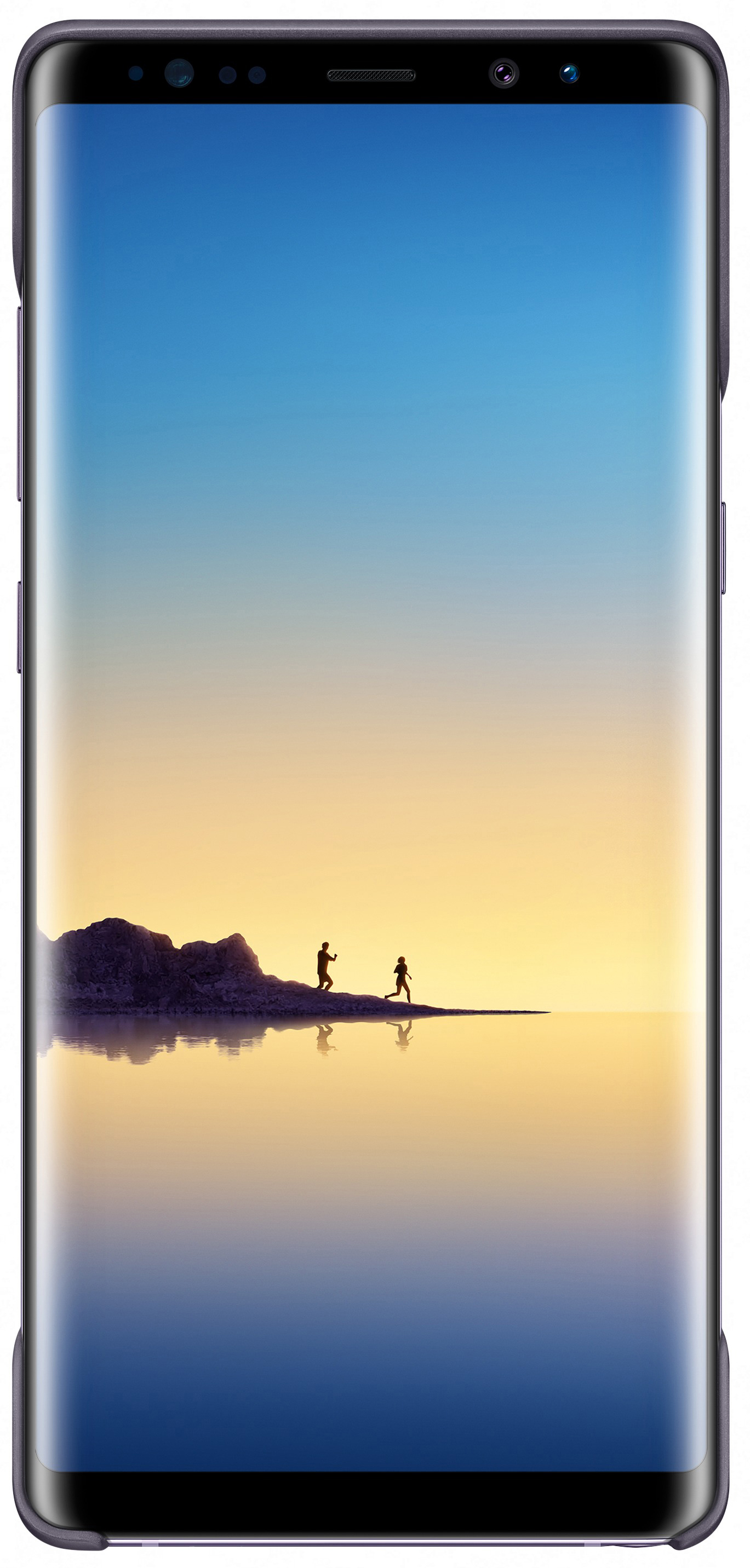 SAMSUNG 2 Piece Cover EF-MN950, Backcover, Samsung, Galaxy Note 8, Blaugrau