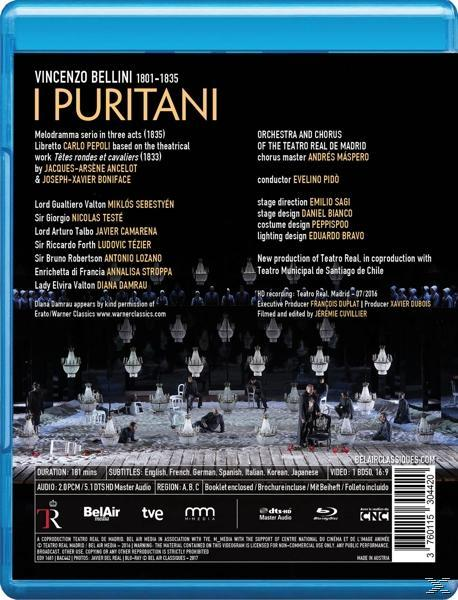 Damrau/Camarena - I Puritani  - (Blu-ray)