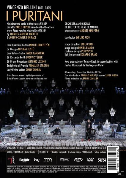 VARIOUS, Orchestra And Chorus Of The Teatro Real De Madrid - I Puritani  - (DVD)