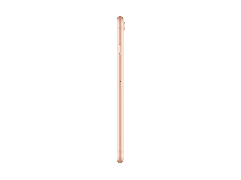 APPLE iPhone 8 Plus 256GB Akıllı Telefon Gold Fiyat & Özellik