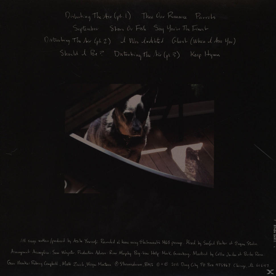 Azita - Disturbing The Air  - (Vinyl)