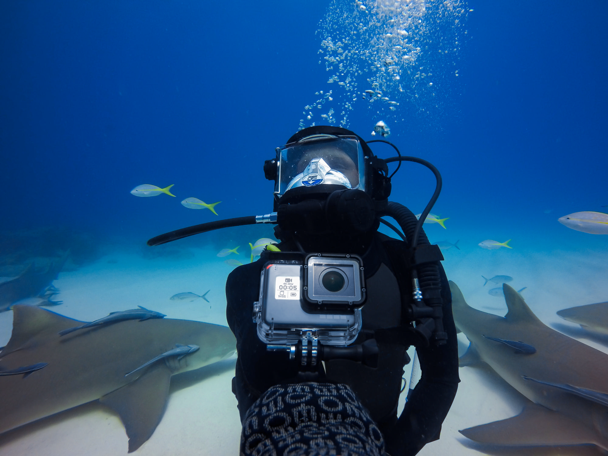 GOPRO The Strap:El Bilek Bandı