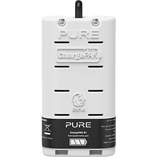 PURE DIGITAL VL 61949 ChargePAK B1 - Pile rechargeable (Blanc)