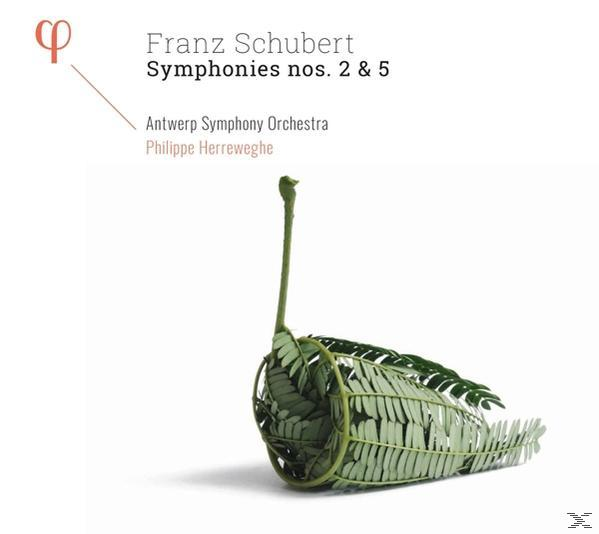Antwerp Symphony Orchestra - Symphonies Nos. 2 & 5  - (CD)