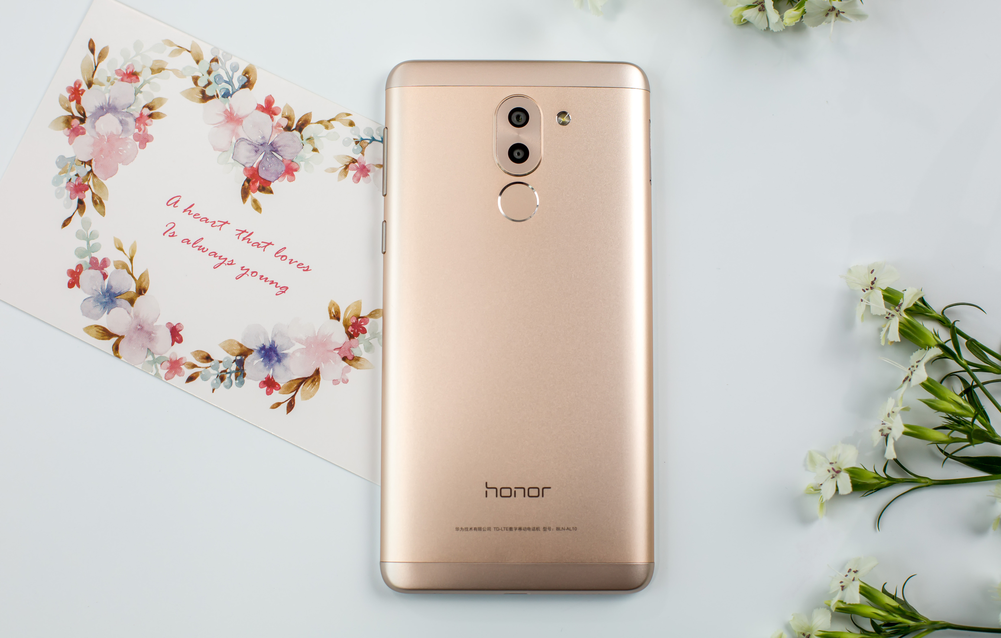 HONOR 6X 32 GB Gold Dual SIM