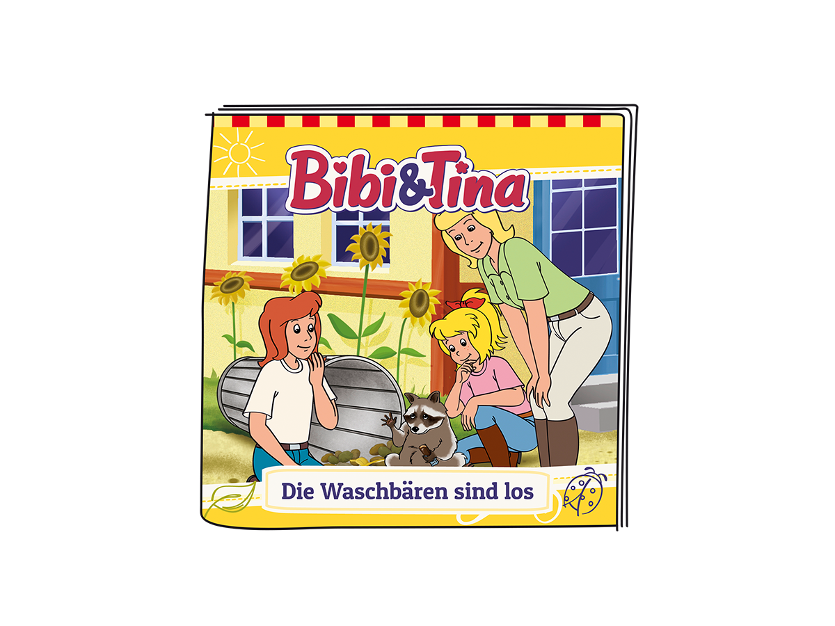 DVD-Hülle des Zeichentrickfilms Bibi & Tina, zeigt Charaktere und ein Haus.