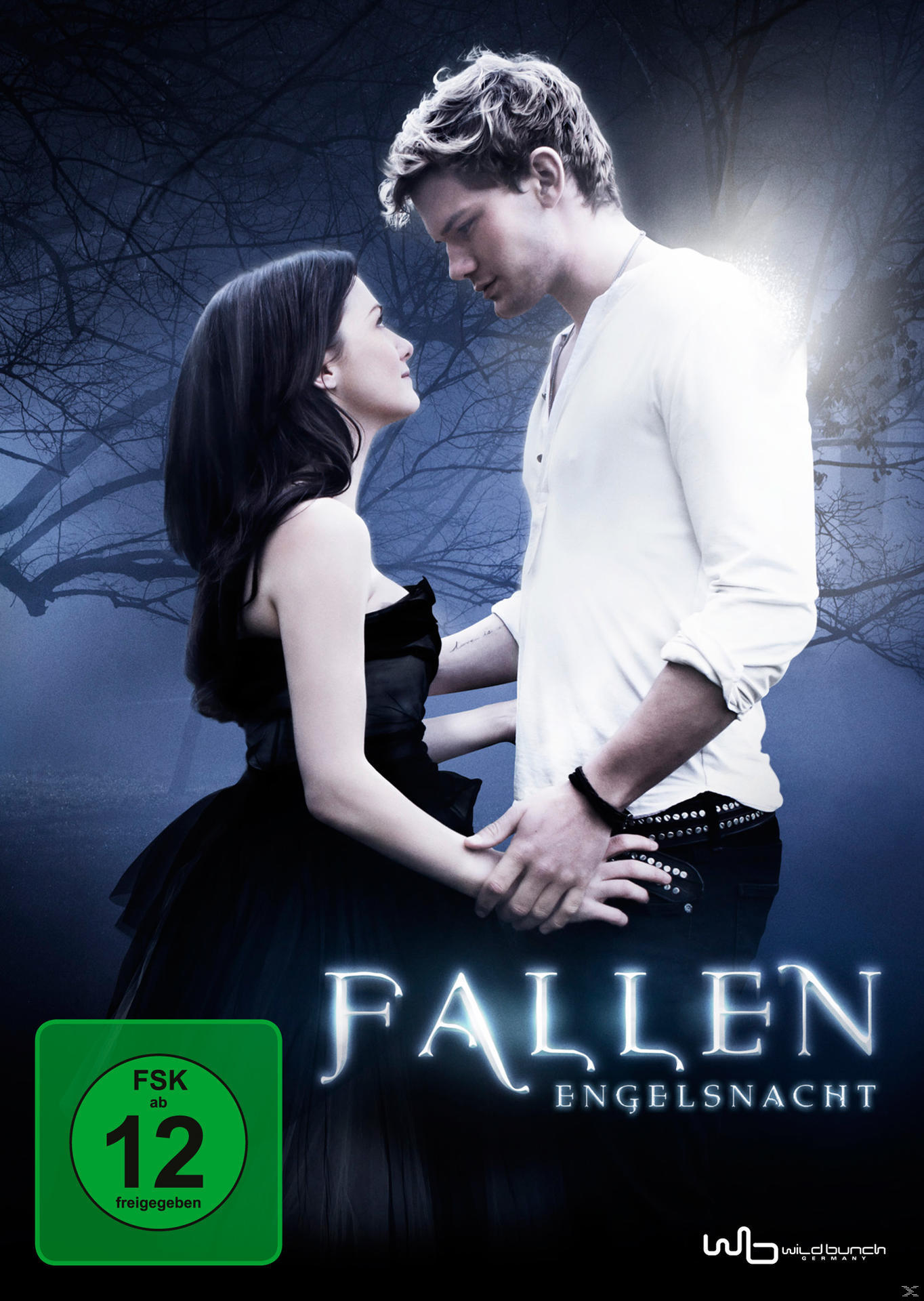 Filmposter mit einem sich ansehenden Paar. Text: Fallen Engelsnacht. FSK ab 12 freigegeben.