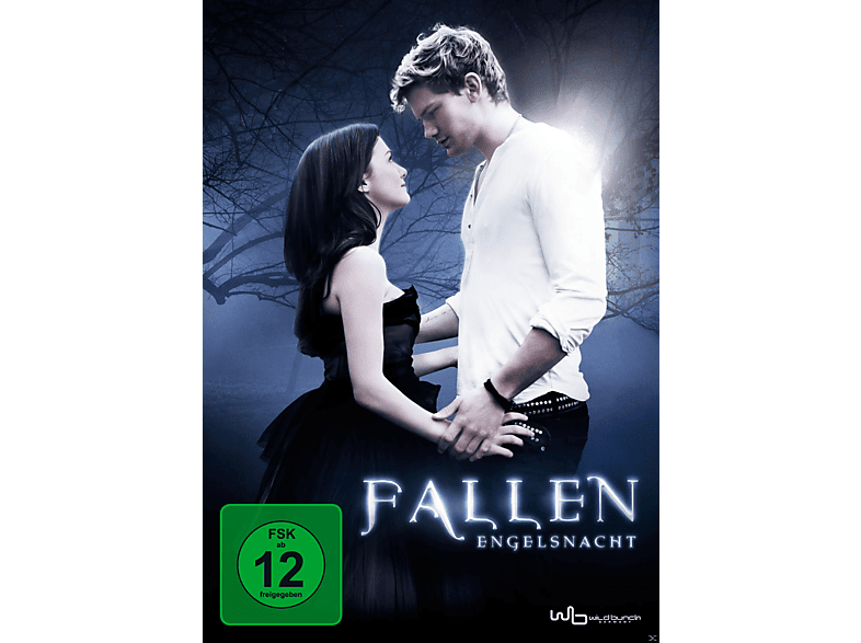 Fallen - Engelsnacht DVD (FSK: 12)