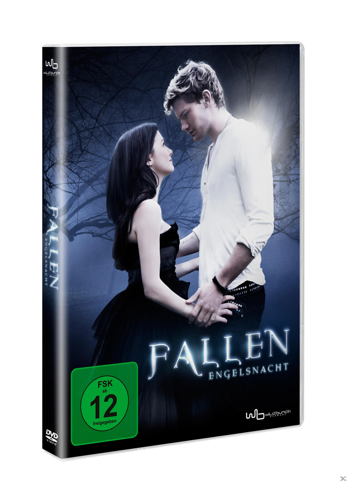 DVD-Cover des Films Fallen. Ein Paar steht eng beieinander mit einem dunklen Wald.