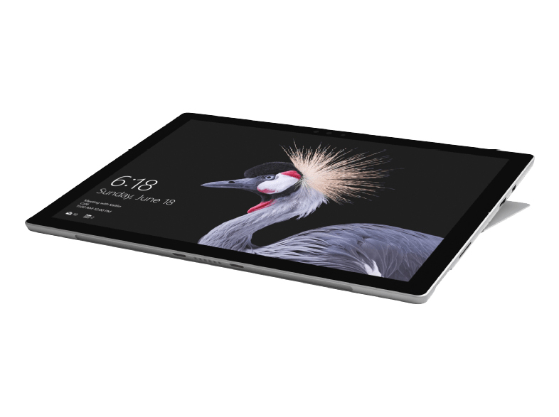 Tablet-Computer, der einen Bildschirm mit einem Vogelbild anzeigt. Schwarzer Rahmen, weißer Hintergrund.