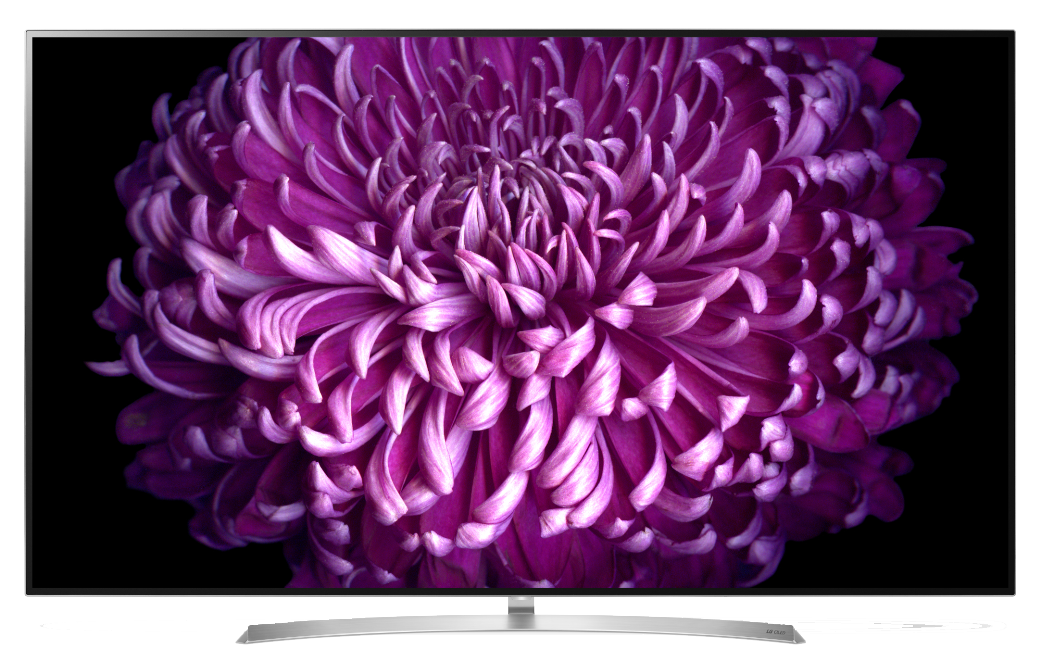 Ein moderner Fernsehbildschirm zeigt eine Nahaufnahme einer lila Blume mit schwarzem Hintergrund.