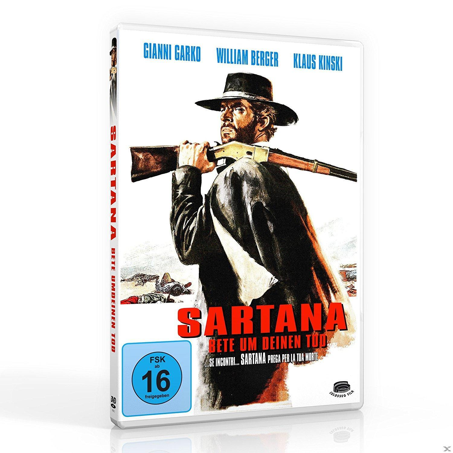 DVD-Hülle eines Westernfilms. Ein Mann mit Hut hält ein Gewehr. Der Titel ist auf der Hülle.