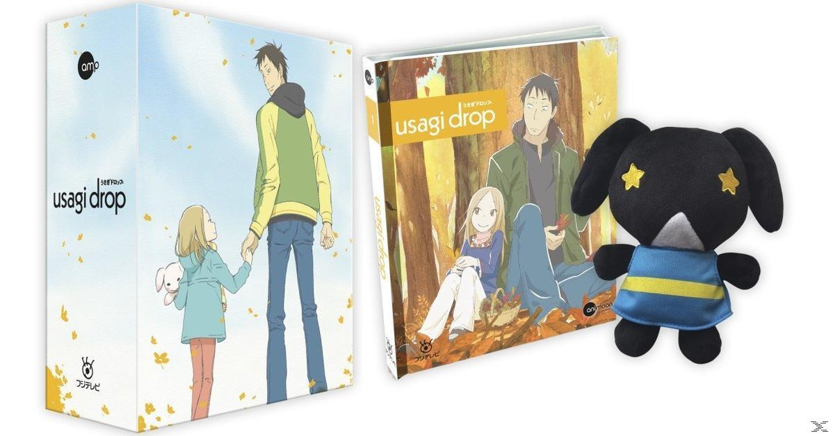 Das Bild zeigt Anime-bezogene Waren: DVD-Boxen und ein Plüschtier. Die Boxen und das Plüschtier tragen den Namen "Usagi Drop".