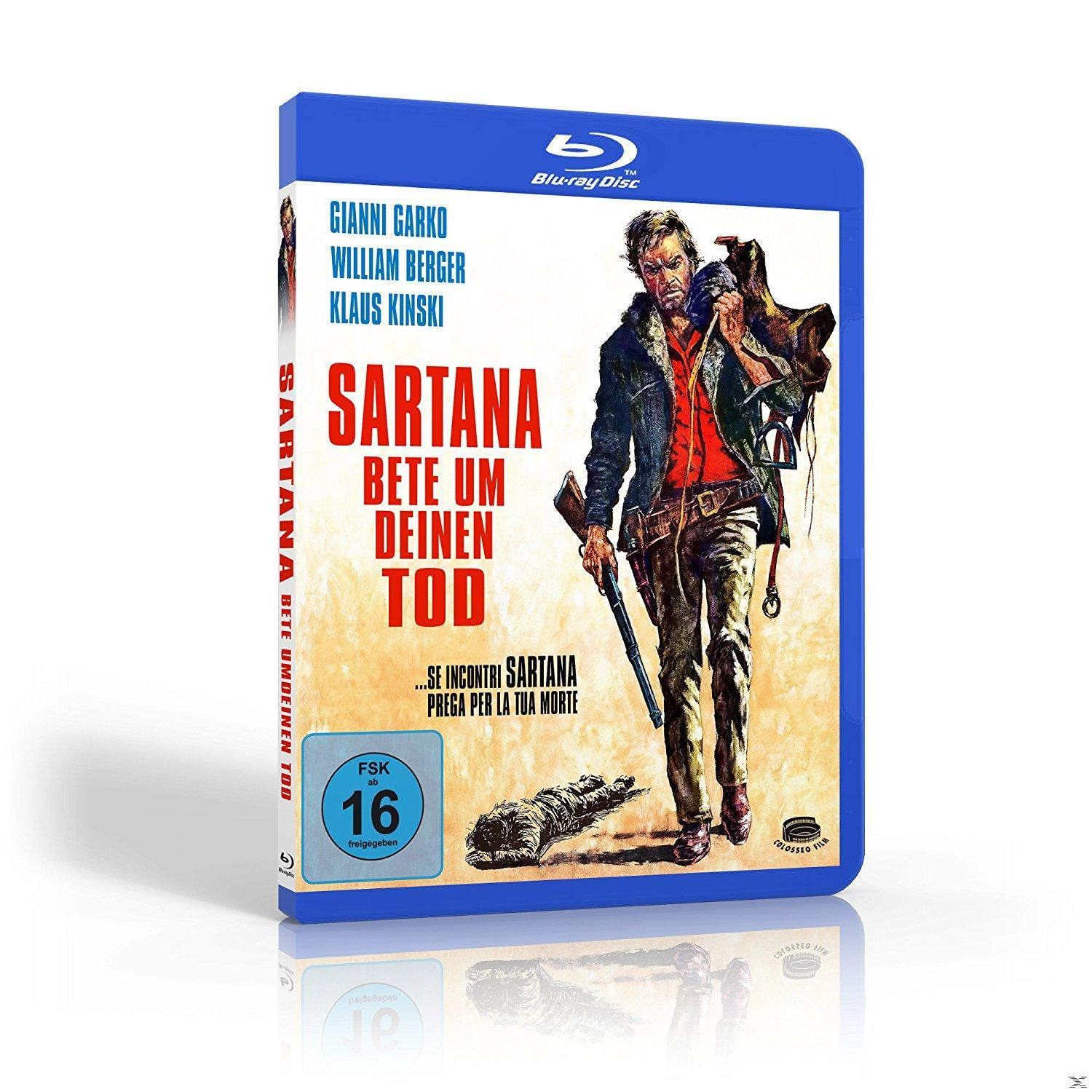 Filmcover. Mann mit Gewehr. Titel 'Sartana, bete um deinen Tod'.