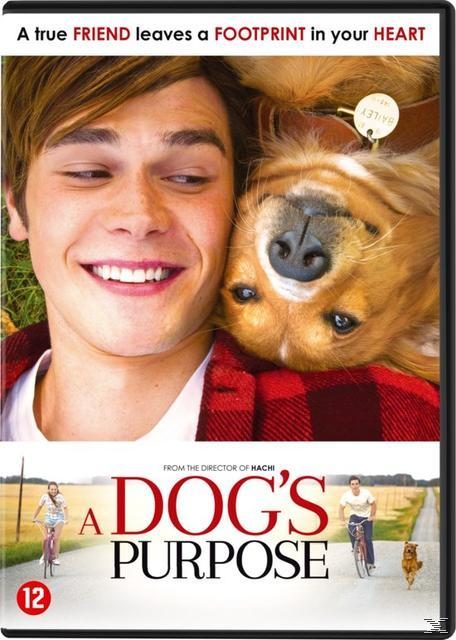 A Dog's Purpose - DVD