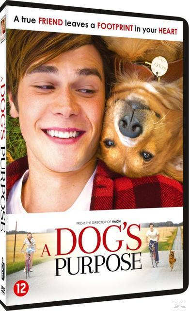 A Dog's Purpose - DVD